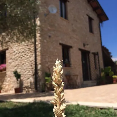 Bed & Breakfast Agriturismo Aduepassi Contigliano